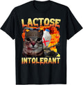 Lactose Intolerant Silly Cat Meme Funny Saying Cat Lover Unisex , , , Long Sleeve Tee