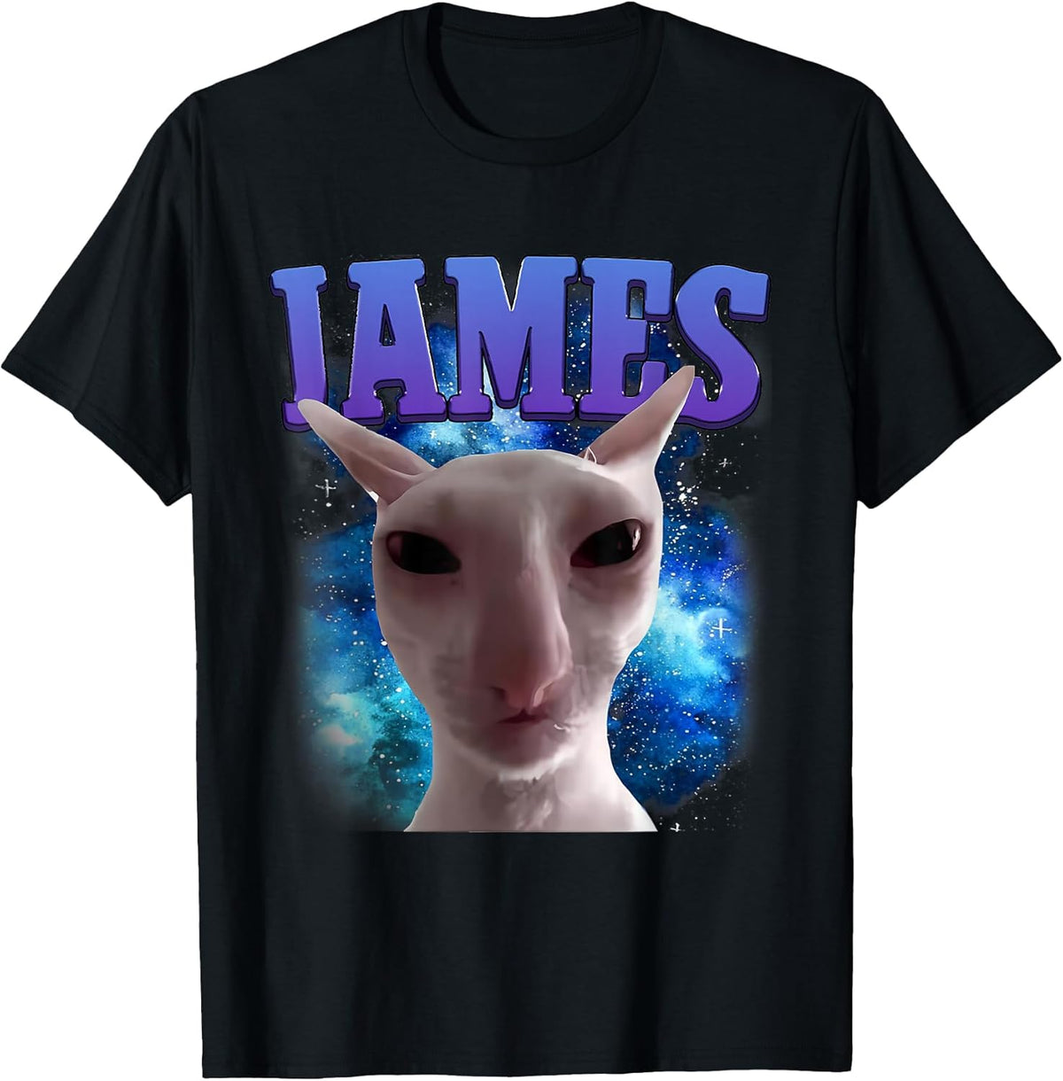 James The Cat Meme Funny Silly Cats Brainrot Meme Cat Lover Unisex , , , Long Sleeve Tee