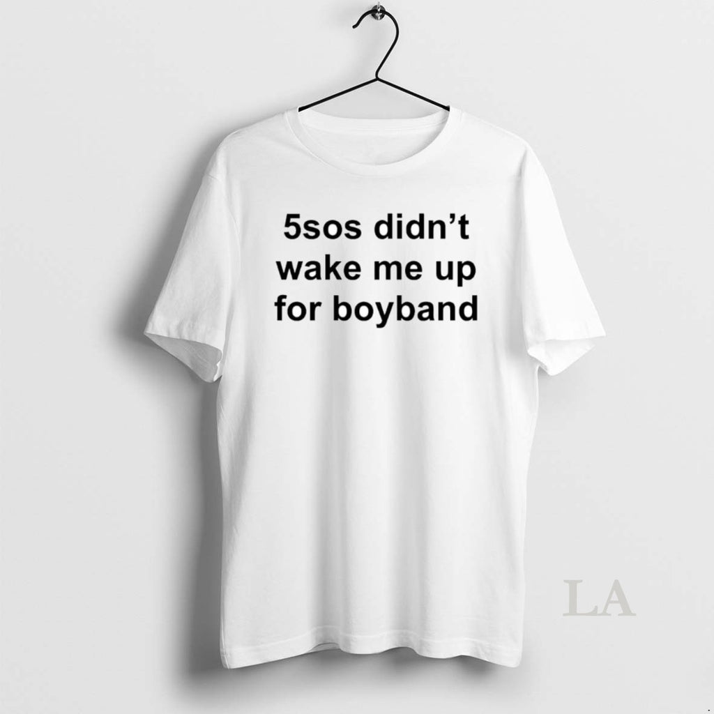 Original 5sos Didnt Wake Me Up For Boyband Ornaments