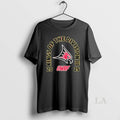 Original Wisconsin River Falls Falcons 2025 King Of Division Iii Football Champions