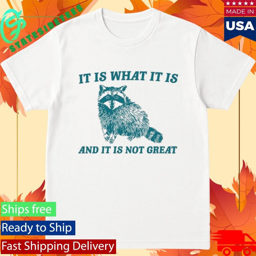 Tracketpacer Racoon It Is What It Is And It Is Not Great Shirt Unisex , , , Long Sleeve Tee