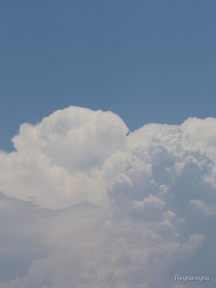White Fluffy Clouds by Reynareyna