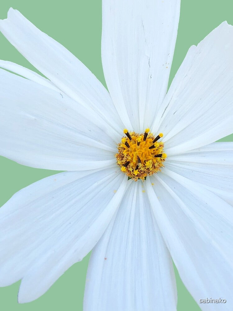 Light Blue Flower by sabinako