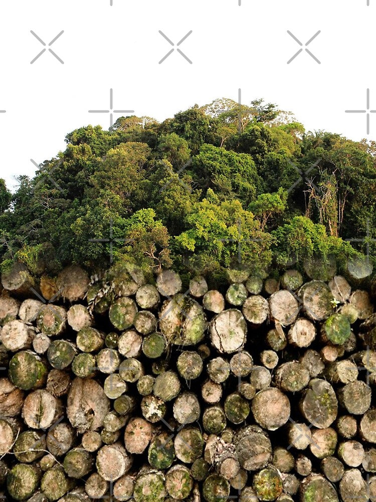 Amazon Jungle destroyed by Philipe3d