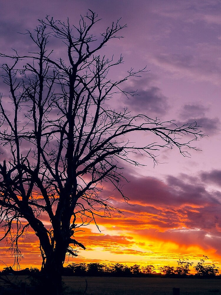 Treemendous by ilovethenight