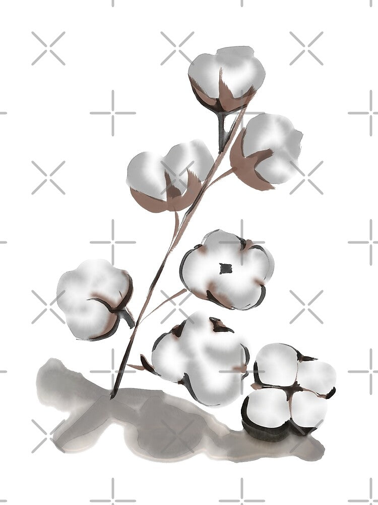 Cotton plant by StudioMasha