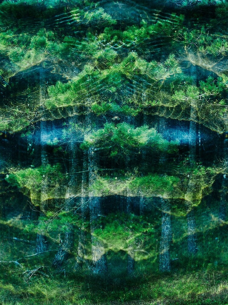 The forest looks back # 2 by Psilographics