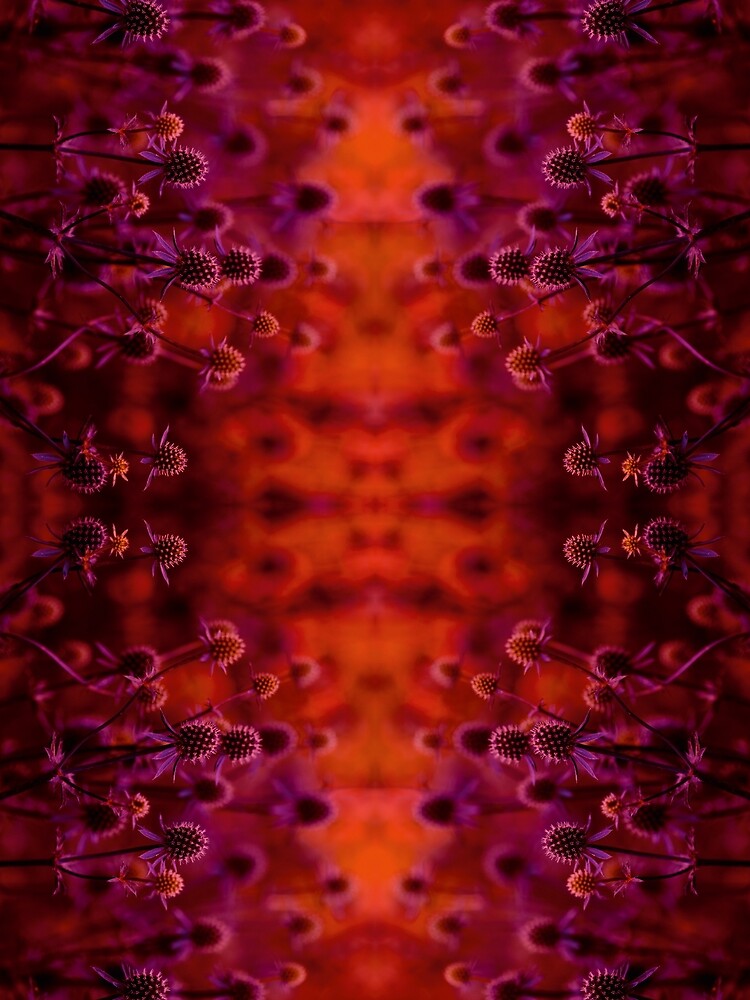Flower magic in red and purple by Psilographics