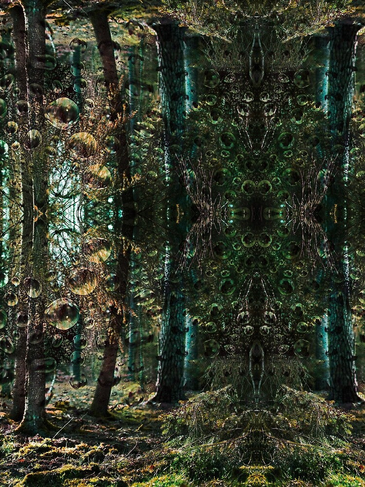 Psychedelic forest walk by Psilographics