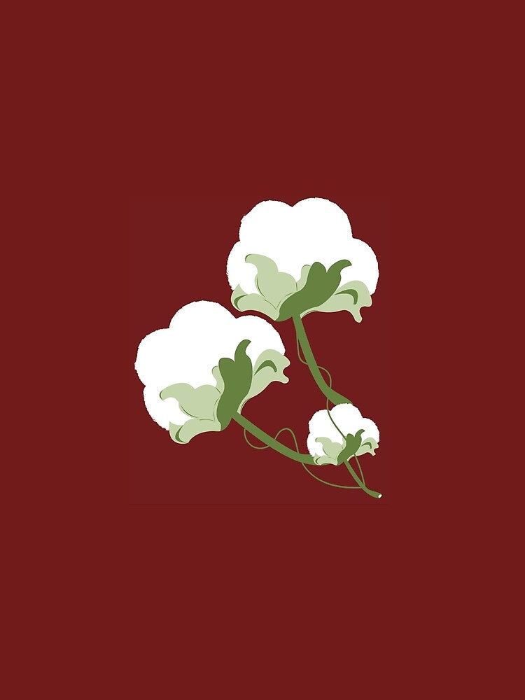 Cotton Flower Illustration by Namithaspanikar