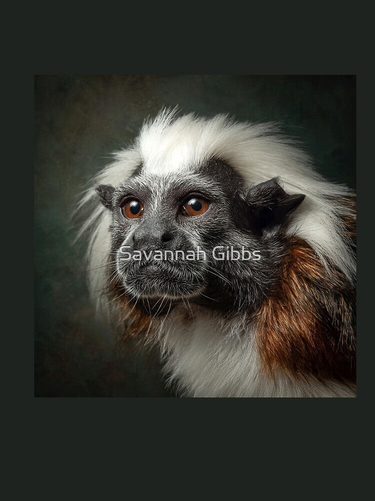 Cotton-Top Tamarin by Savannah Gibbs