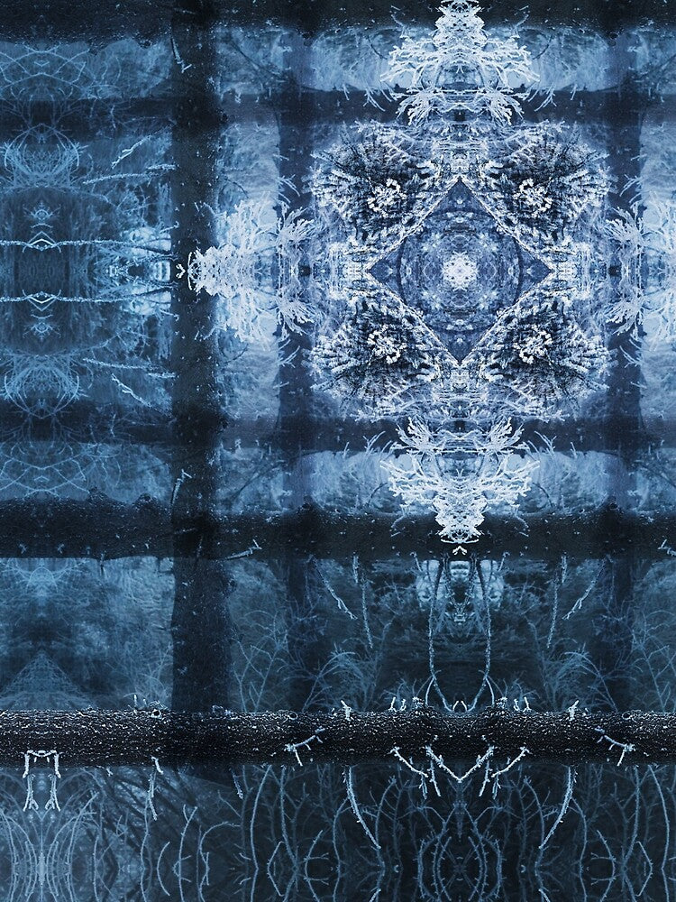 Ice flowers # 1 by Psilographics