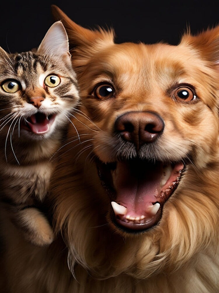 Our animal friends... and their stupidities! by Collection de trésors