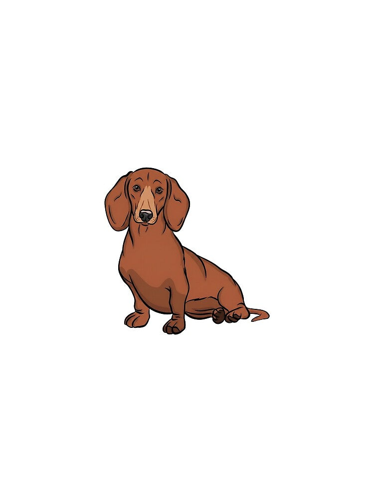 Red Dachshund by OlyvieArt