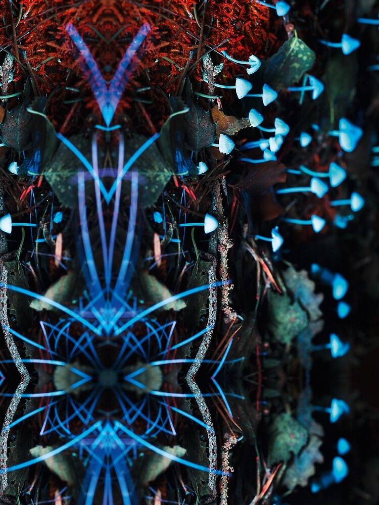 Symmetrical design with fluorescent mushrooms by Psilographics