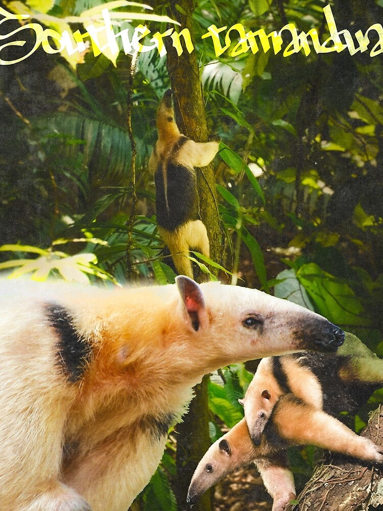 Southern tamandua - collared anteater poster by Kajzu