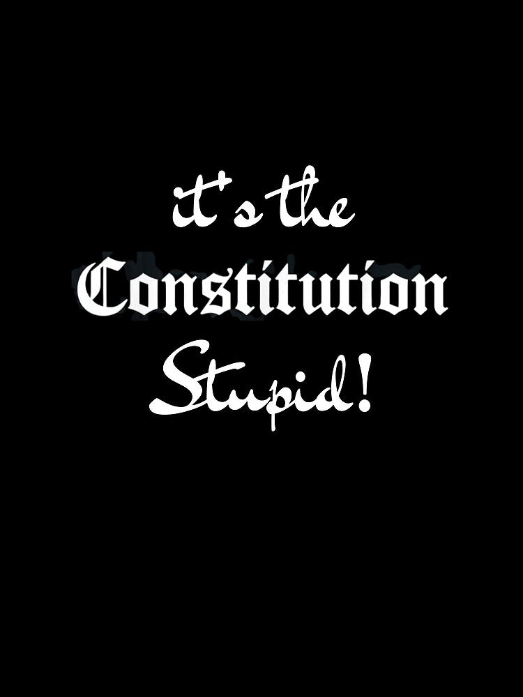 It's The Constitution Stupid Citizen Right American Freedom T-Shirt by spolayastore