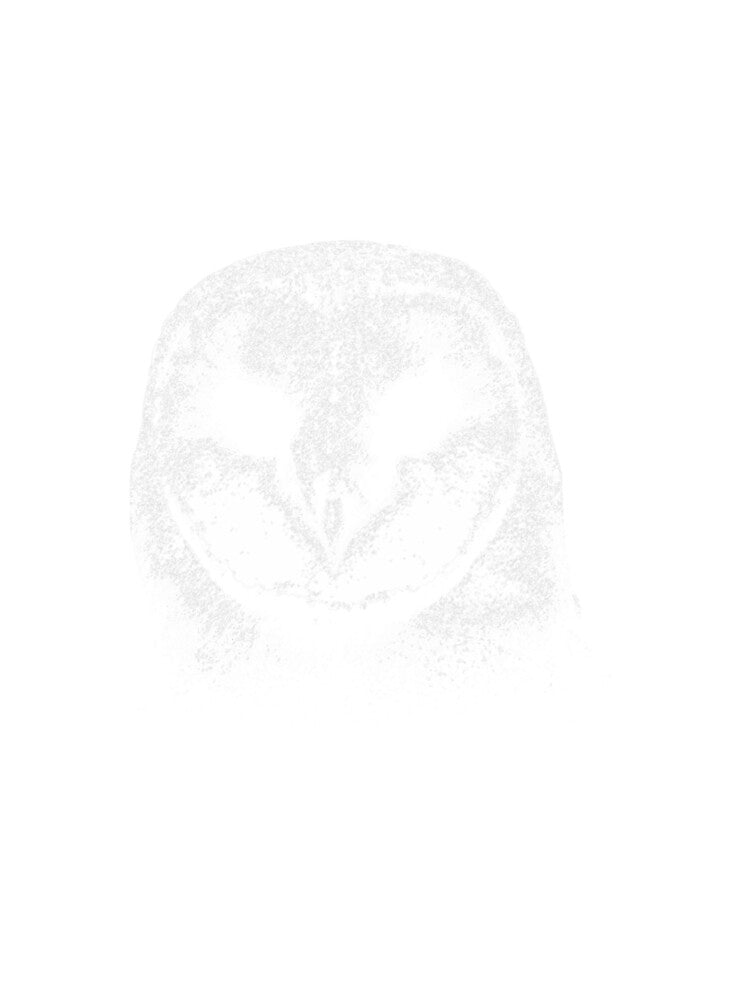 Cool Barns Owl Drawing Personalisables Women Girls Men by DavidZunigax0