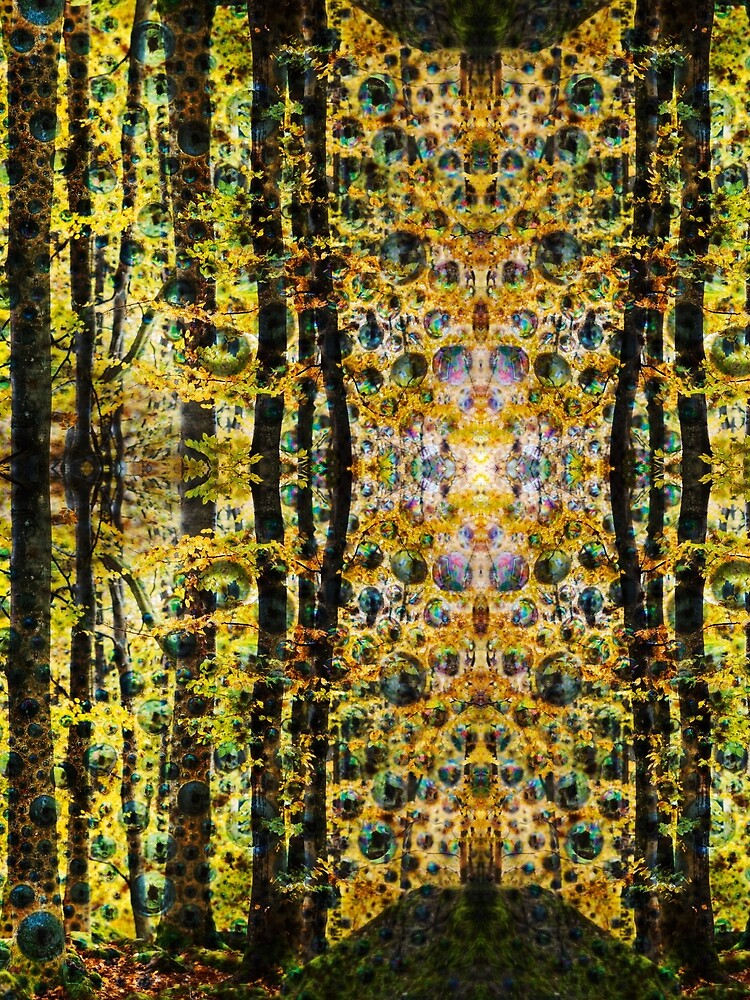 Magic forest # 2 by Psilographics
