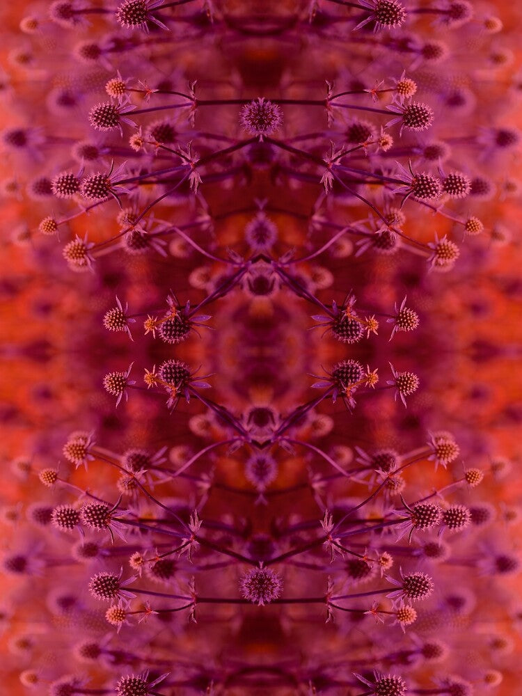 Flower magic in red and purple # 2 by Psilographics