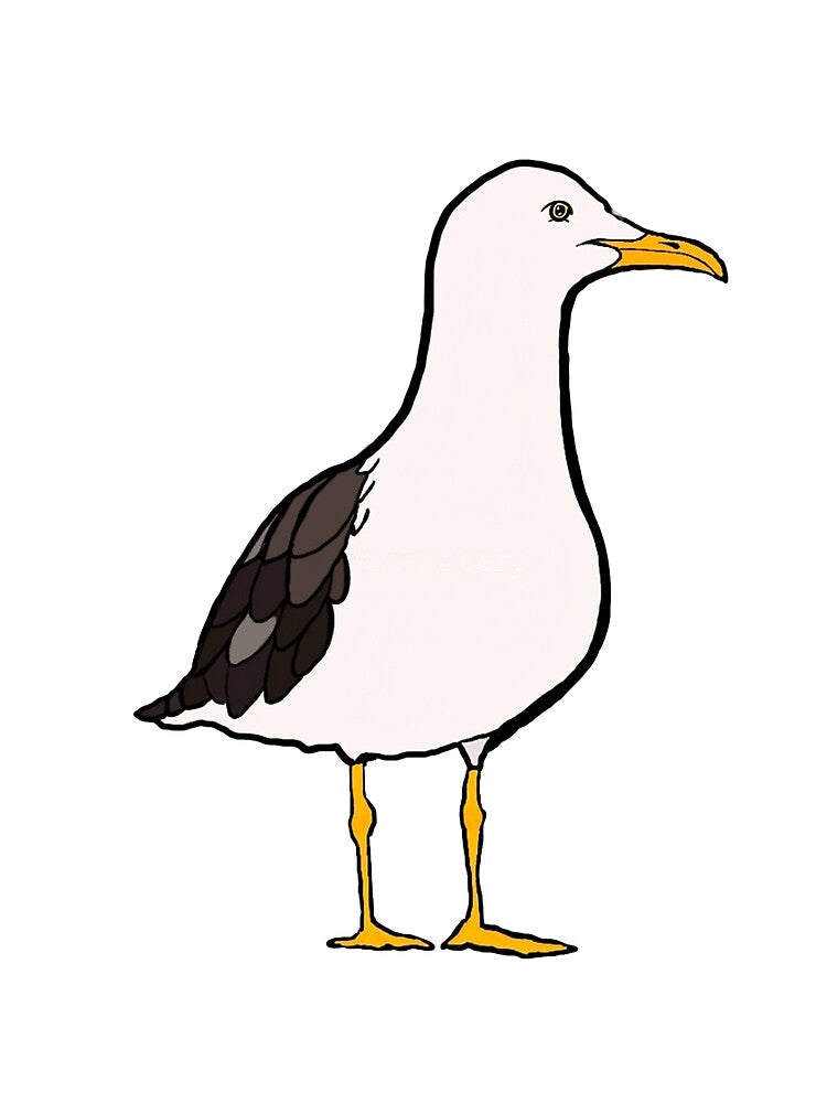 Seagull Funny Meme, Seagull Funny Anime by JOSE ROMAN