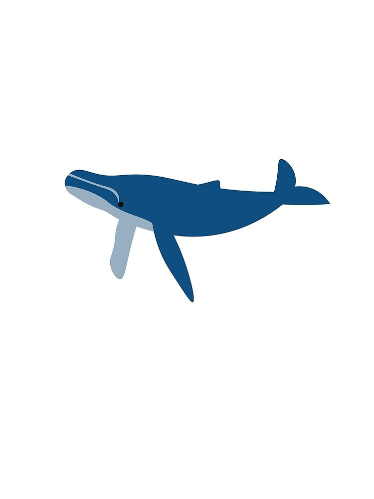 Humpback Whale Minimal Design by kind-fish
