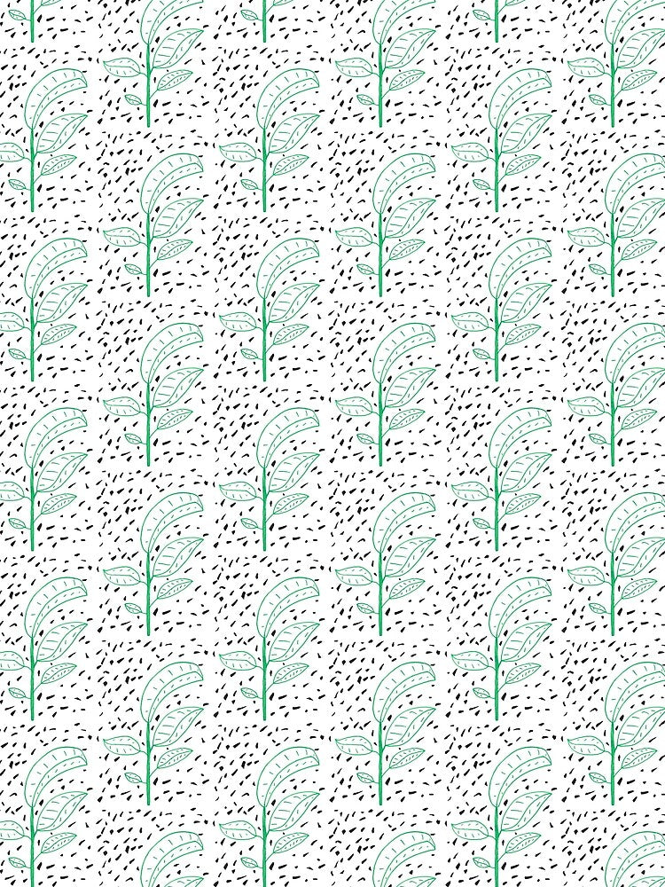 plant by Peter Amey