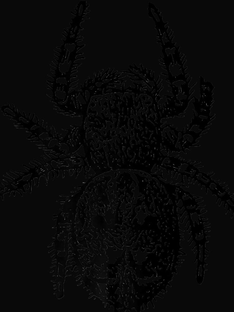 Jumping Spider Premium T-Shirt by RobertRogers6