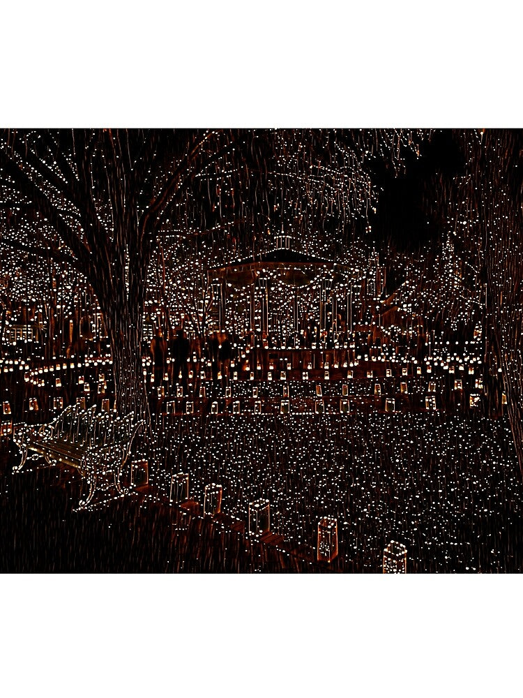 Christmas Lights Collection - Albuquerque, New Mexico by Sean McElroy
