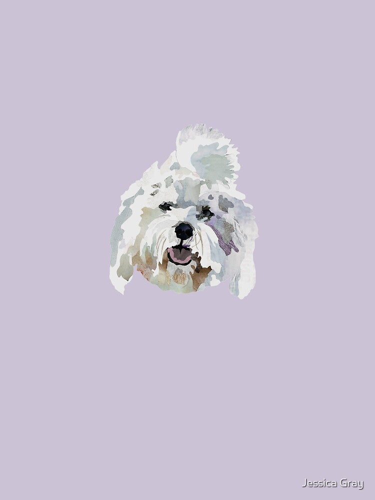 Norman the Coton de Tulear by jeslorgra