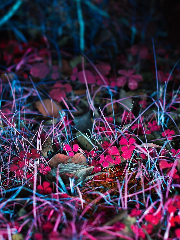 UV landscape by Psilographics
