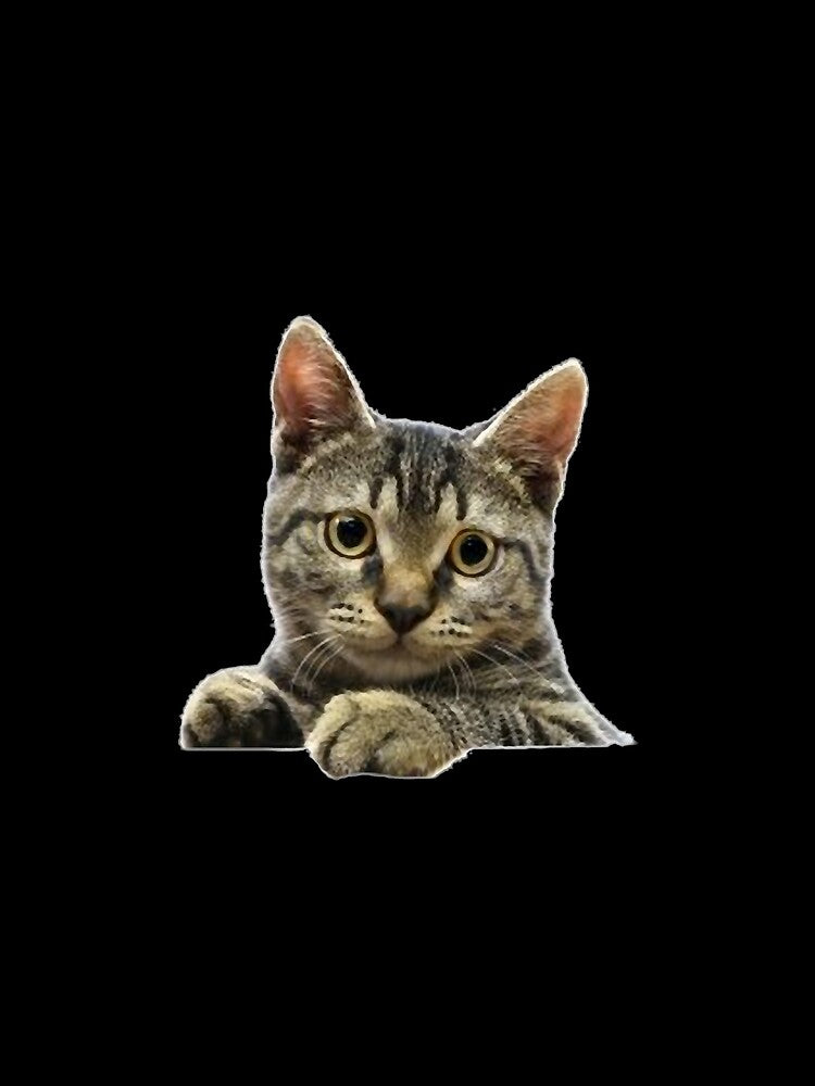 Cat 1 Oversized by VycMerch