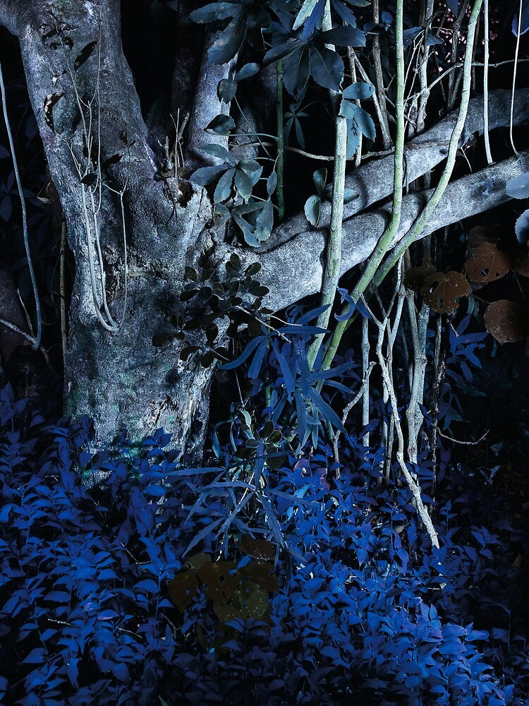 UV Landscape VI by Psilographics