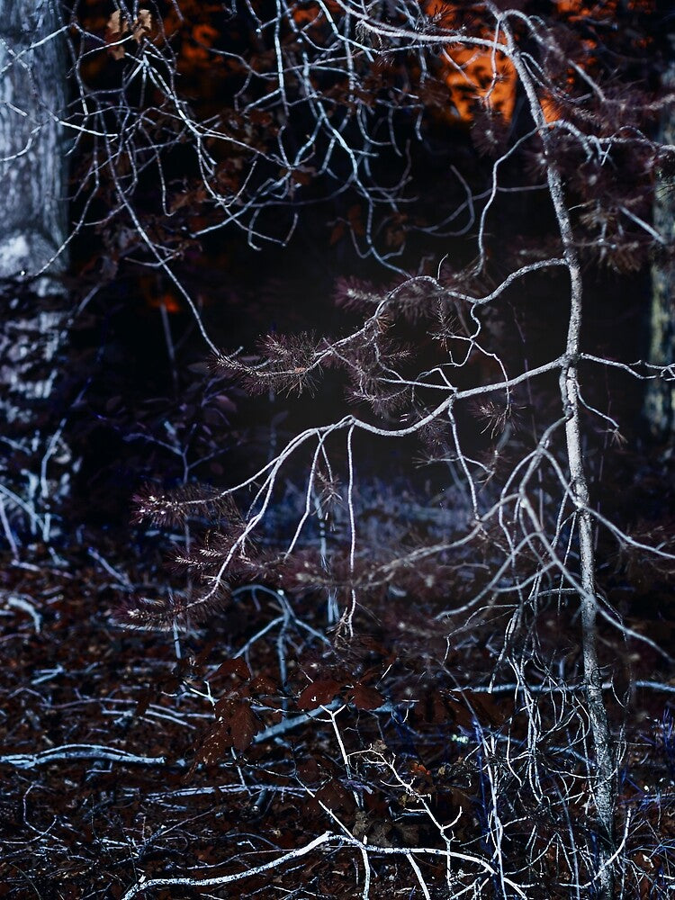 UV Landscape IV by Psilographics
