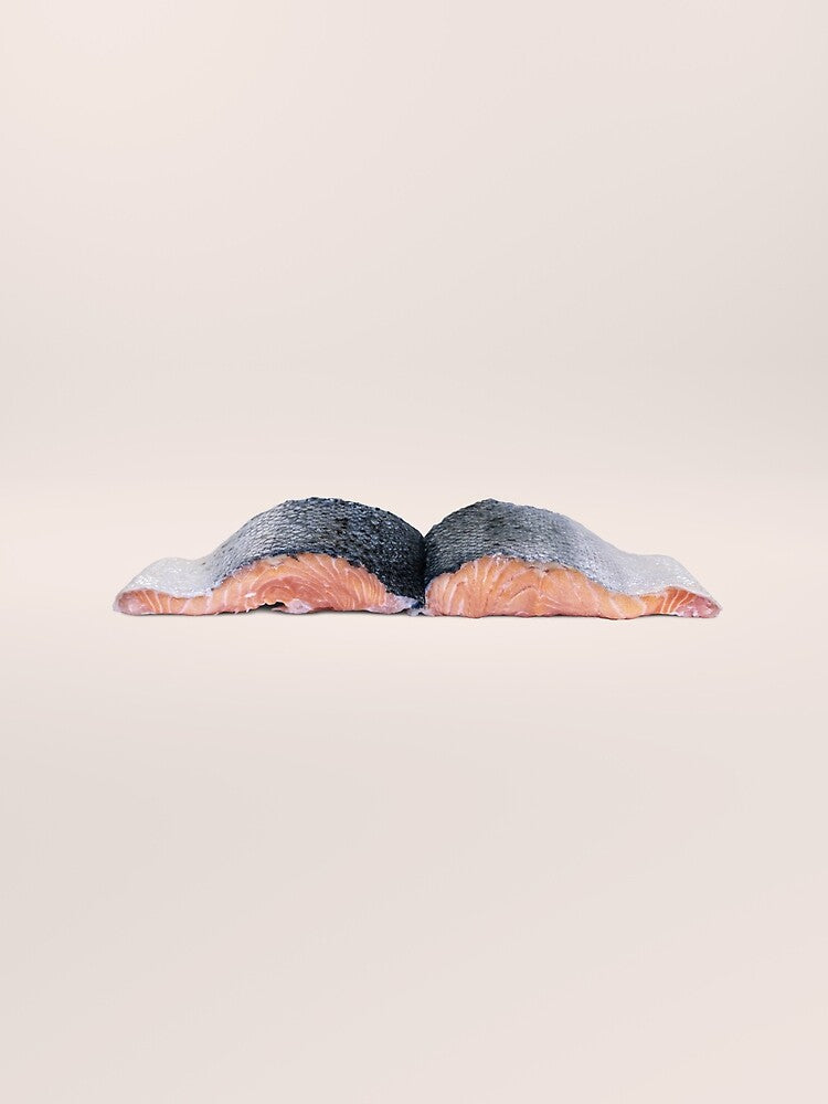 Salmon Book by EdgarLeRoux