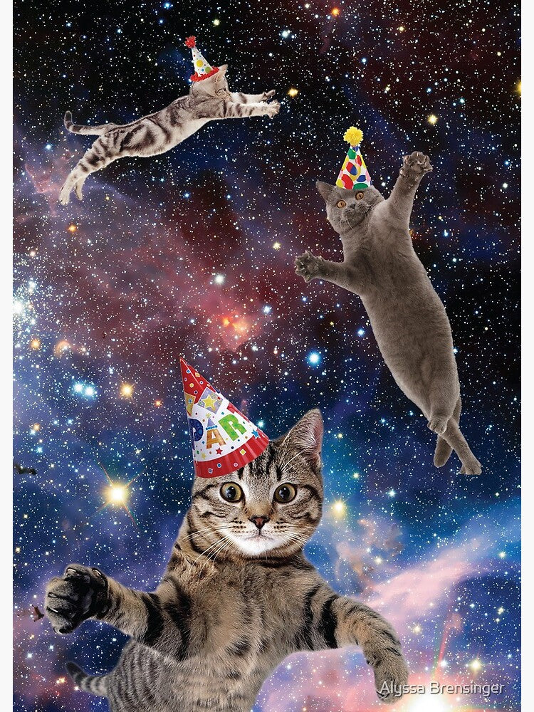 Cats in Space Birthday by Alyssa Brensinger
