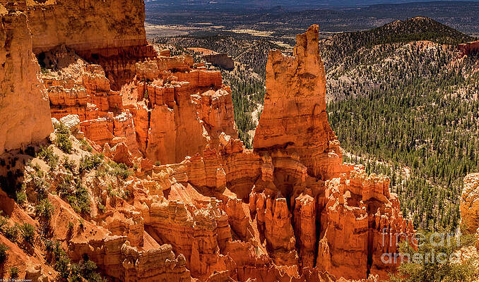 Paria View Bryce Canyon Print Unisex , , , Long Sleeve Tee