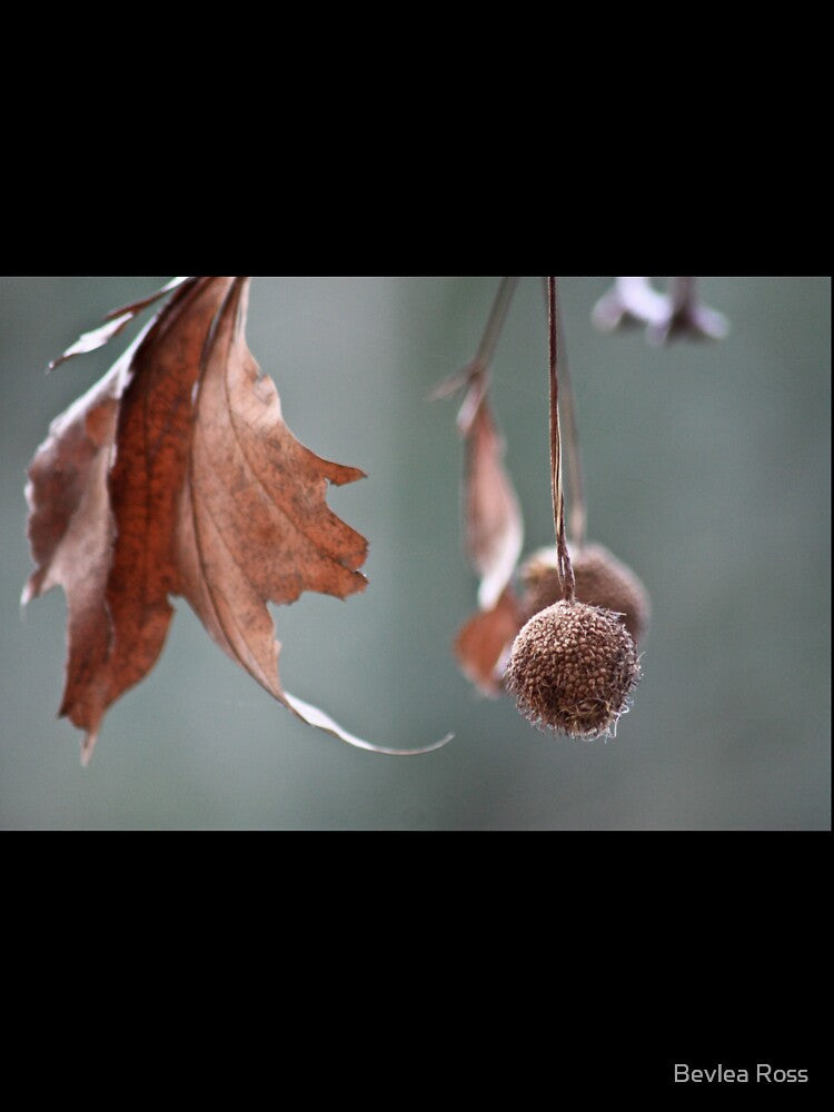 Nature's Baubles by Bevlea Ross