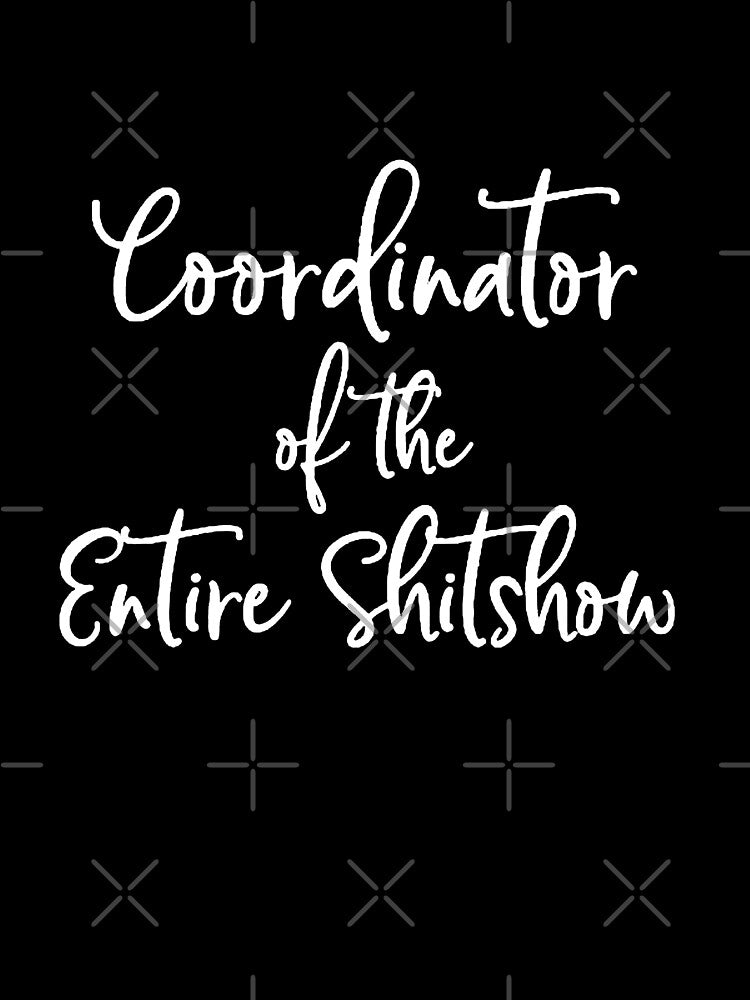 Coordinator of the Entire Shitshow by AKR-Hobby