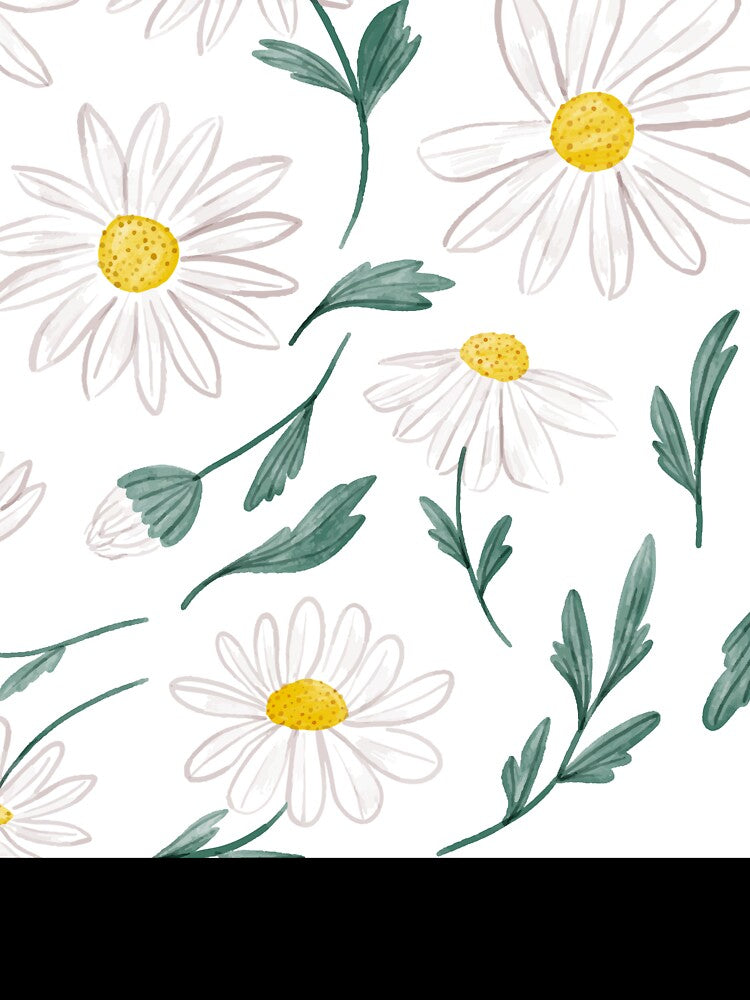 white daisy by zaher97