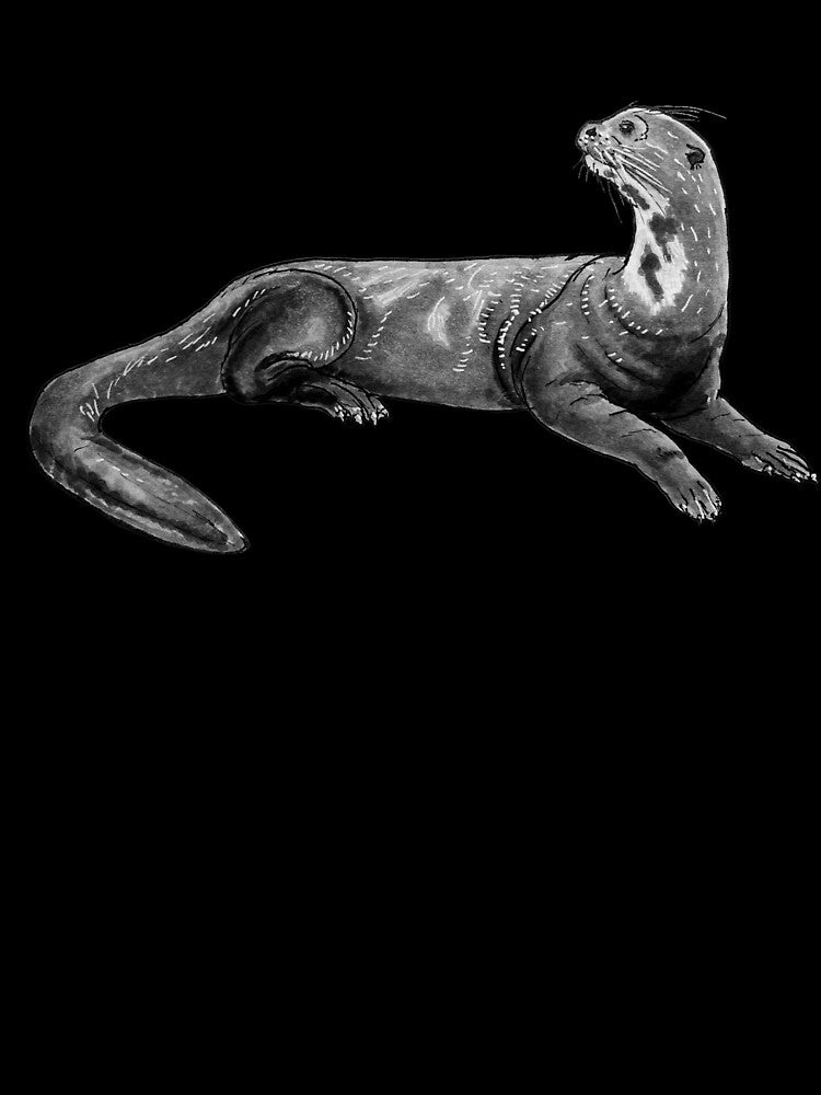 Giant River Otter by ItalianElephant