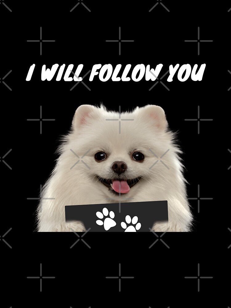 Personal Stalker Dog – White Teacup Pomeranian by More Cute Dogs