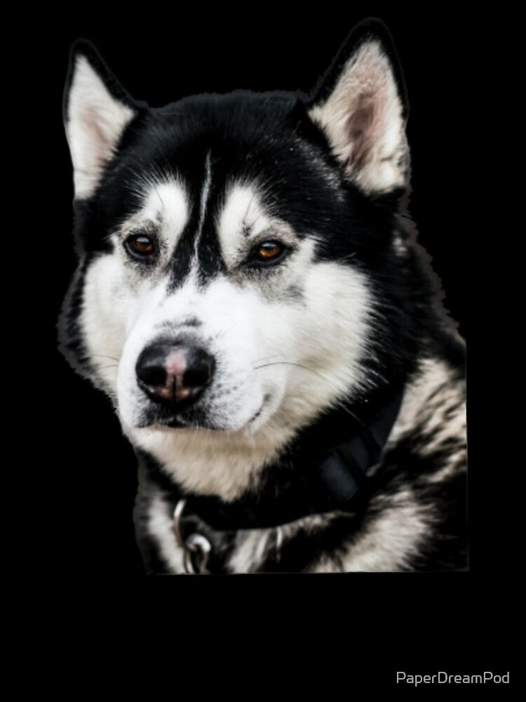 Cute husky dog for dog lovers and pet lovers out there by PaperDreamPod