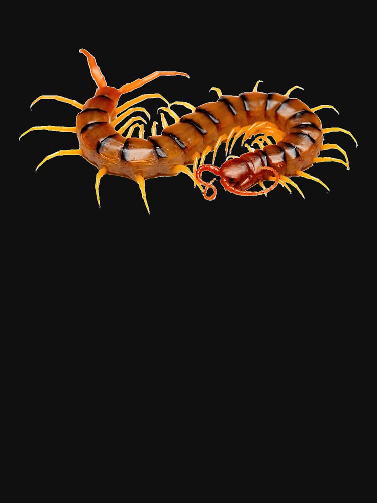Centipede by alliancepowerfu