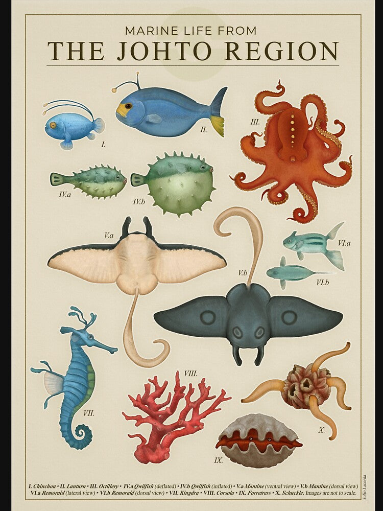 Marine Life from Johto by Julio Lacerda