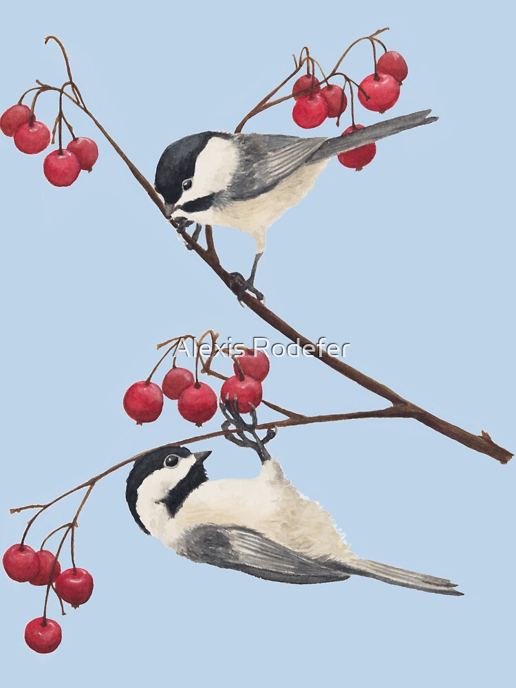 Black Capped Chickadee "Provider" by Alexis Rodefer