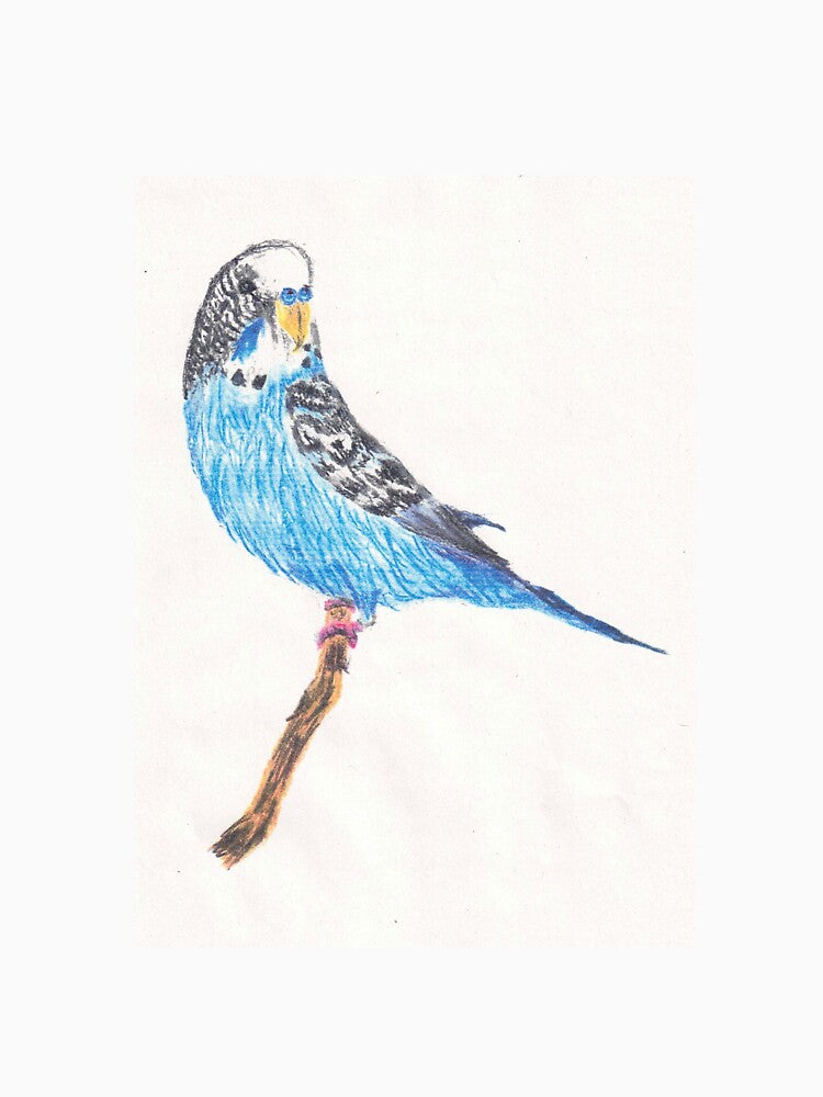 Hand-drawn blue sweet “budgie” by D-Verse Design