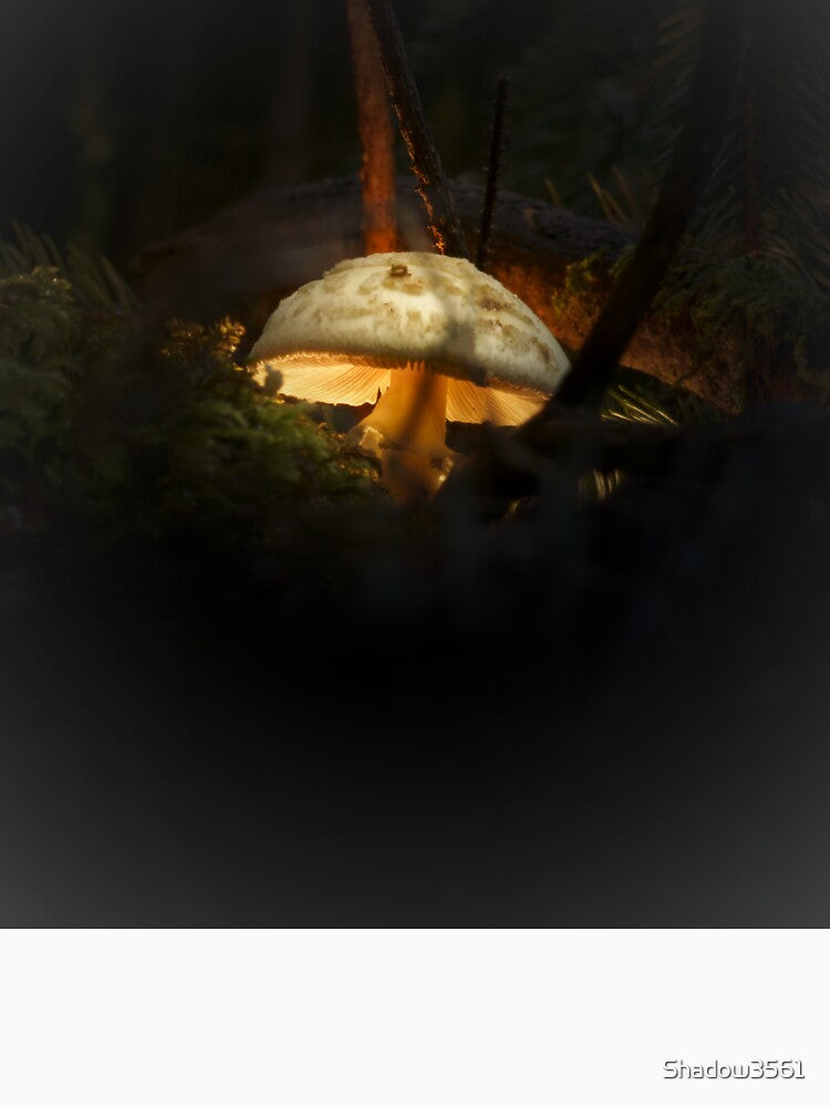Magic Mushroom by Shadow3561