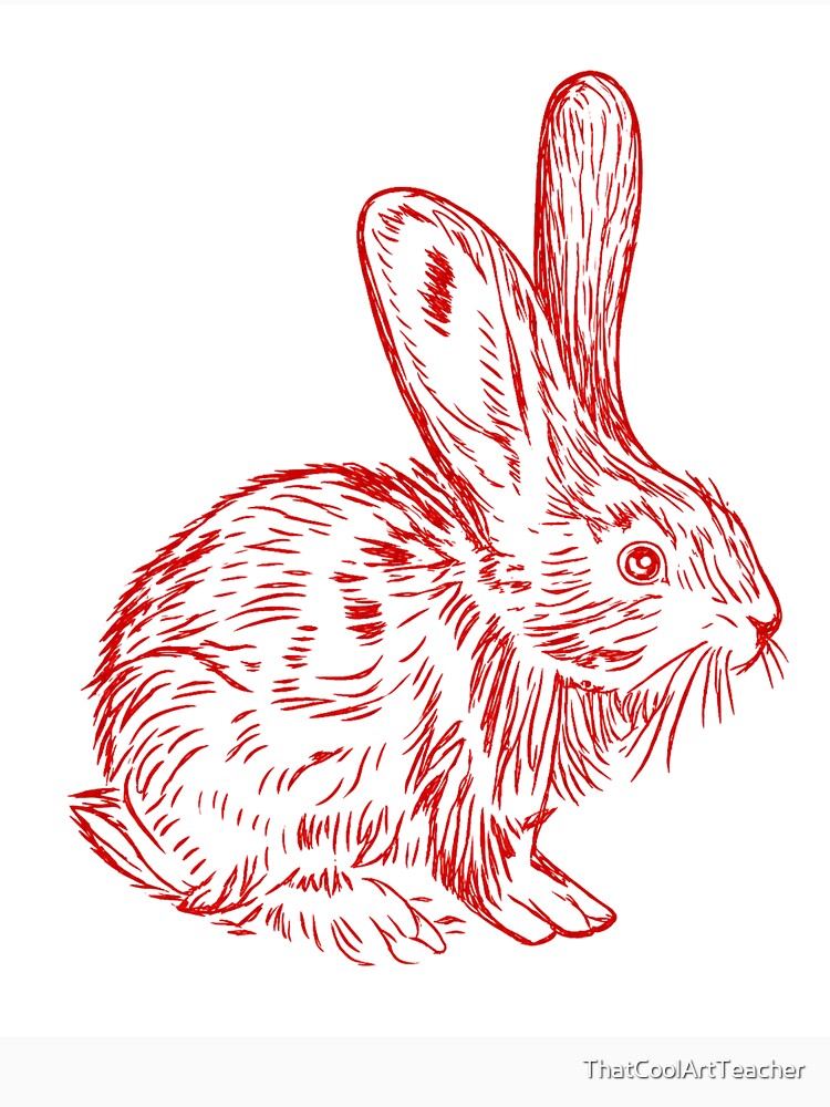 Hop Into the Unknown (Rabbit Only) by ThatCoolArtTeacher