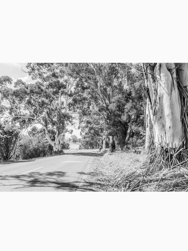 Gippsland countryside by ilovethenight